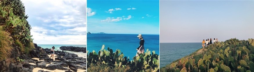 Ghềnh Ông với đồi cỏ xanh và bãi đá đen tuyền, bối cảnh phim "Tôi Thấy Hoa Vàng Trên Cỏ Xanh"