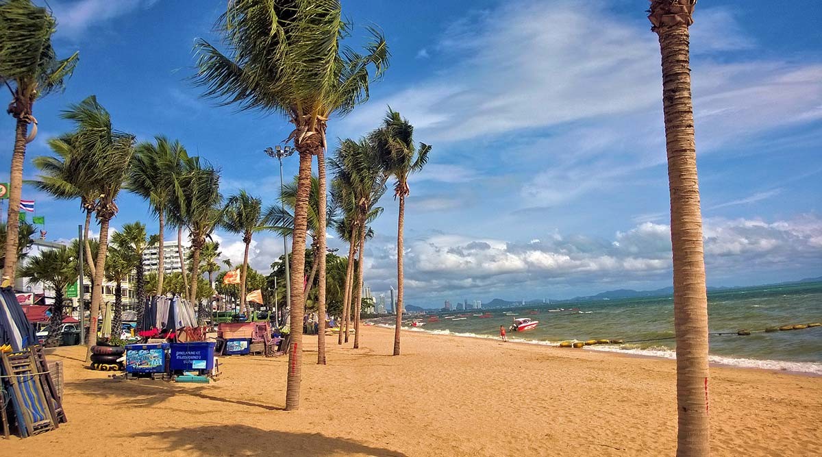 Bãi biển với những hàng cọ trãi dài