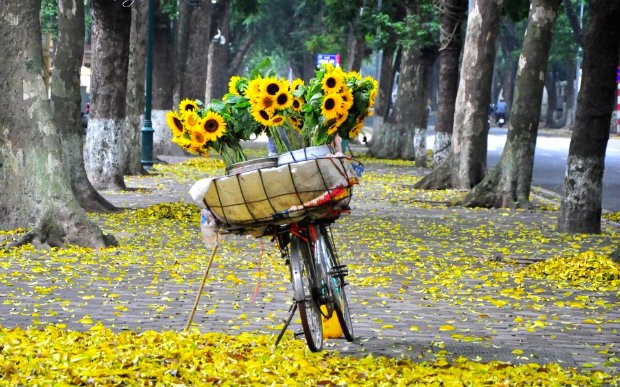 du lich ha noi tron goi tuadenz 11 07 2018 1 1