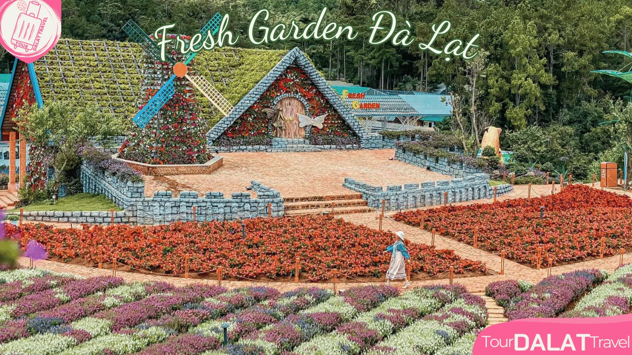 Một góc cánh đồng hoa rực rỡ tại Fresh Garden Đà Lạt