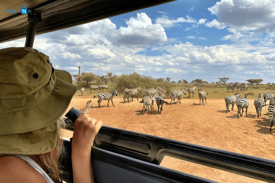 Chi tiết hồ sơ xin visa Tanzania cho từng mục đích nhập cảnh