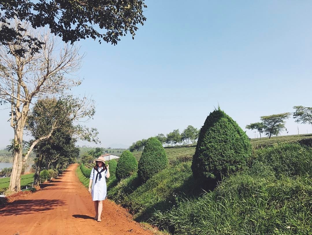 Bảo Lộc dưới ánh nắng dịu nhẹ, thời tiết mát mẻ