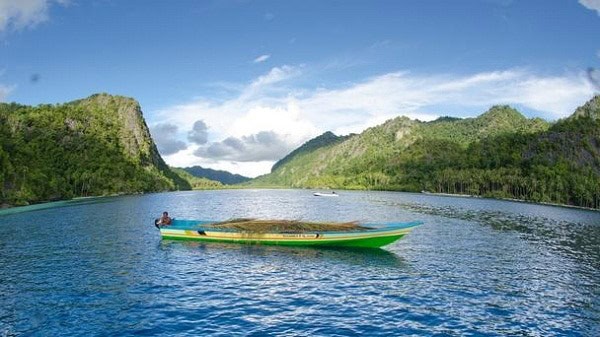 Khám phá thiên nhiên Moluccas