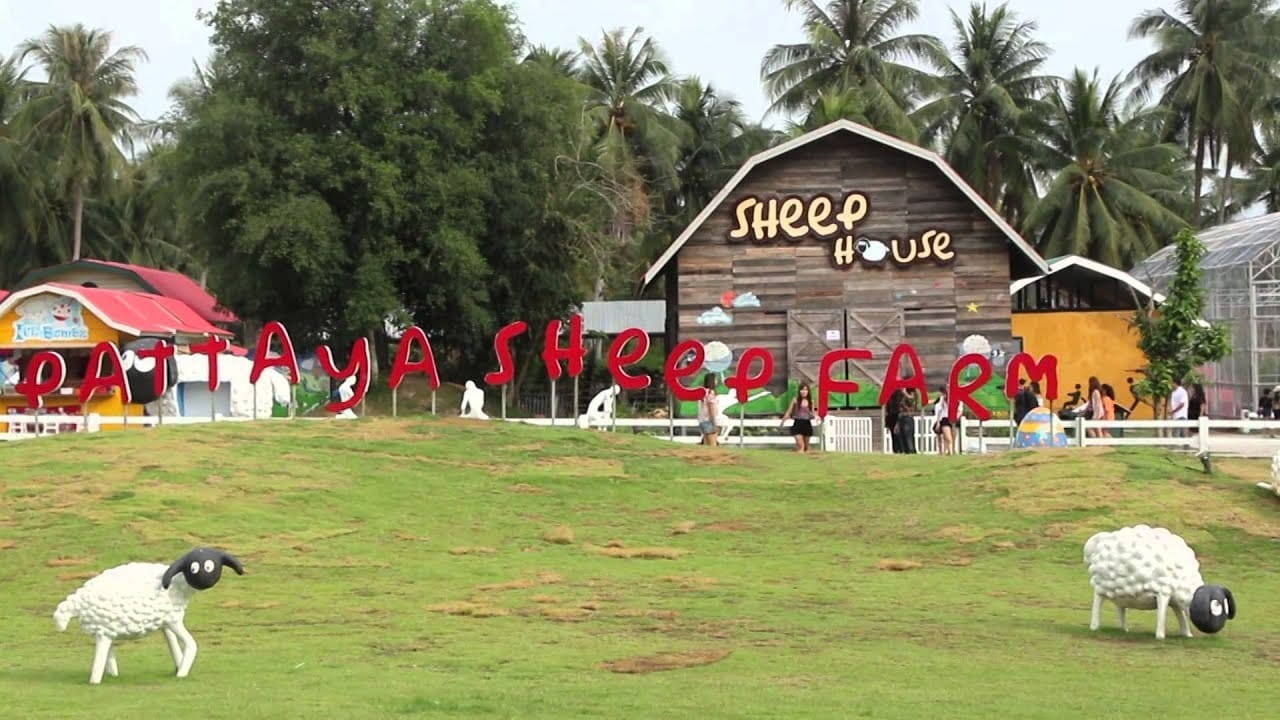 Nơi trải nghiệm tương tác với các loài động vật dễ thương