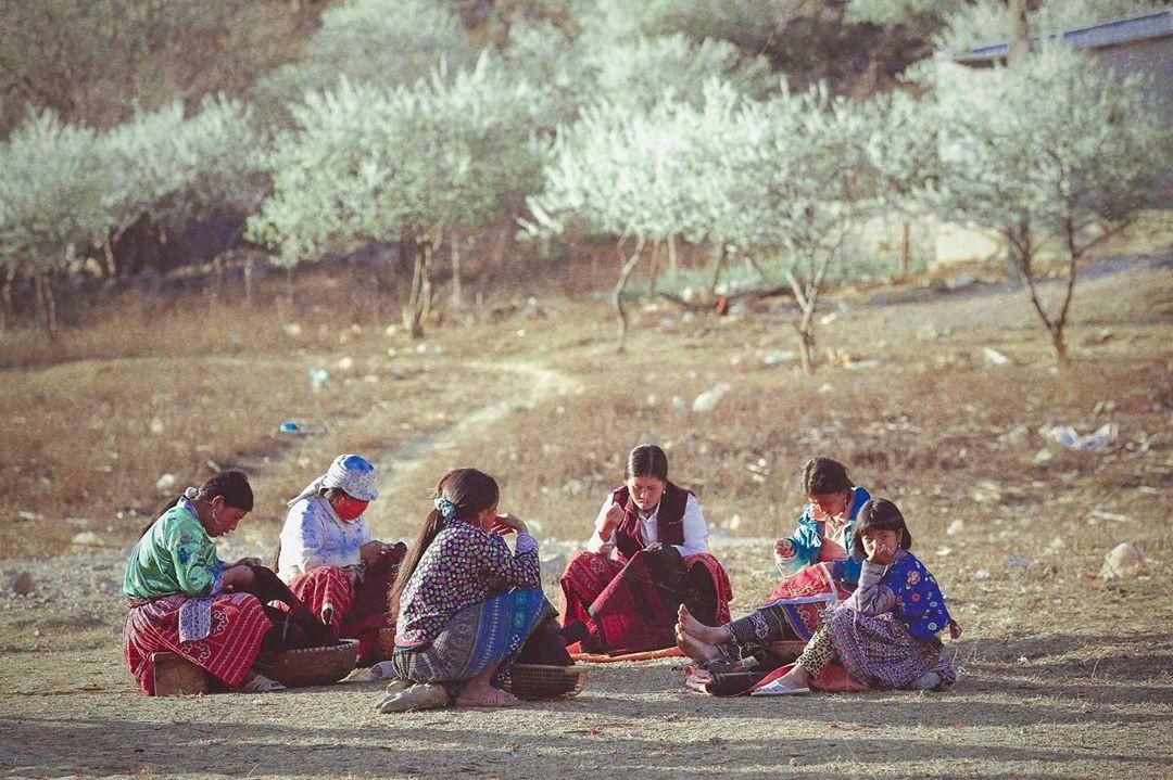 review kinh nghiem du lich moc chau day du chi tiet nhat 5f476d6fa0c09 1