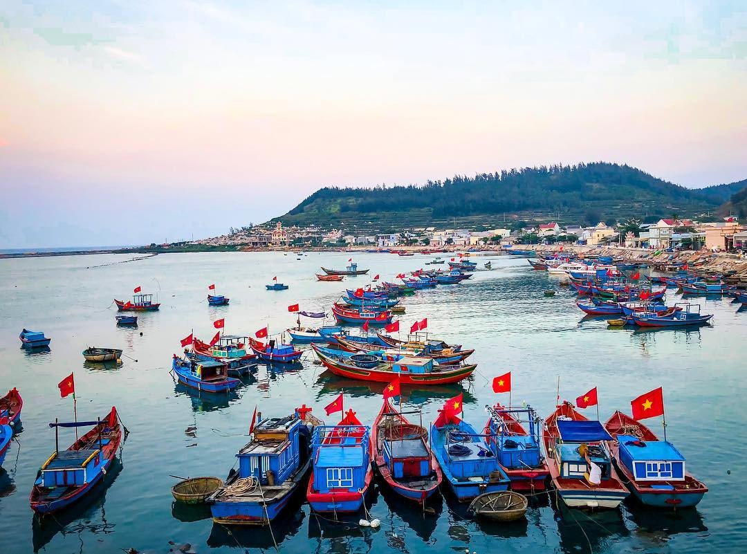 Đây là những chiếc tàu sẽ đưa bạn ra đảo Lý Sơn từ cảng Sa Kỳ