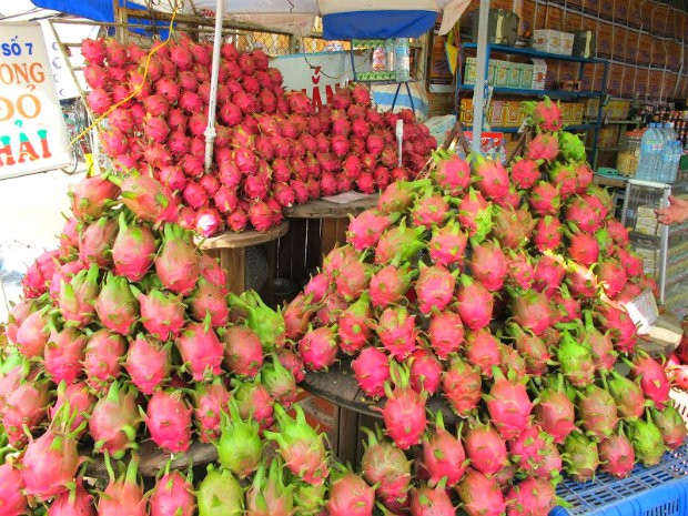 Thanh Long - Món quà quen thuộc khi đi Phan Thiết.