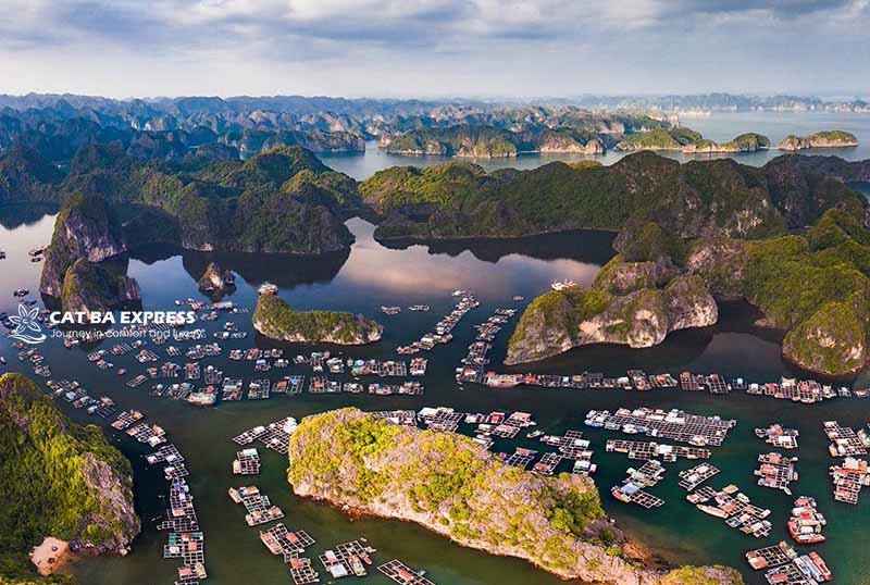 Toàn cảnh Vịnh Lan Hạ Cát Bà
