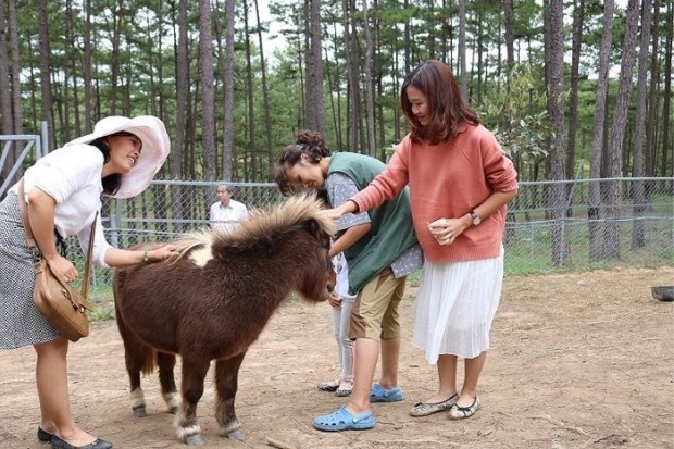 Trẻ em vui đùa cùng các loài động vật tại Zoodoo Đà Lạt