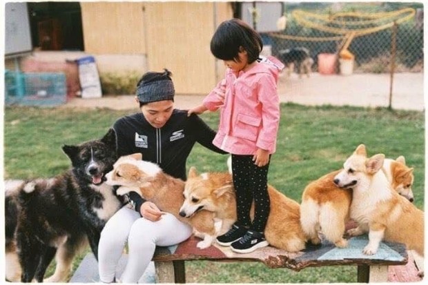 Những chú chó Alaska đáng yêu tại Trại chó Black Rock Garden