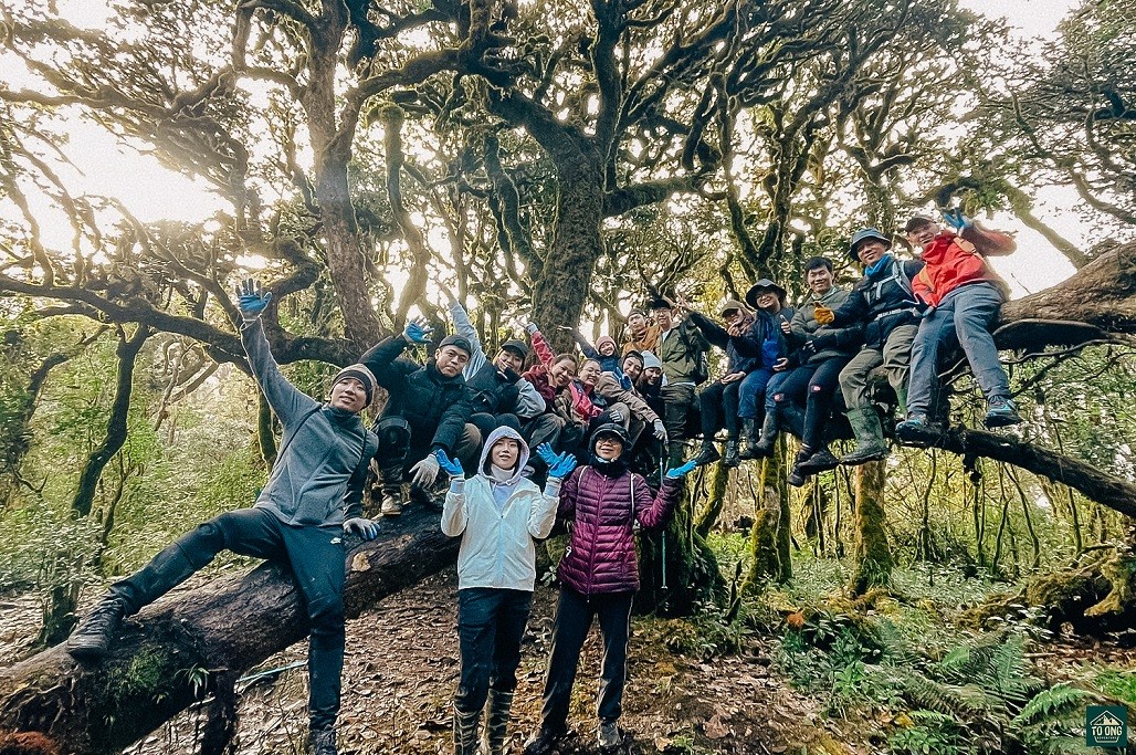 Di chuyển đến Tà Xùa bằng gì