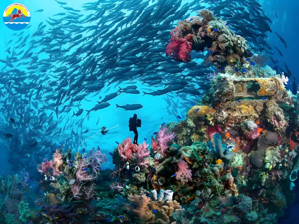 Lặn khám phá xác tàu chiến Thế chiến II tại Đầm phá Chuuk Lagoon, nghĩa địa dưới nước lớn nhất thế giới