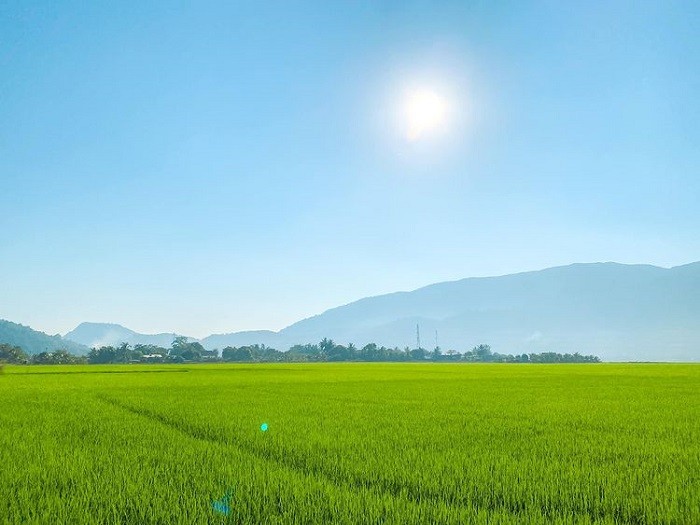 Cảnh đẹp yên bình tại một điểm đến ở Nam Định