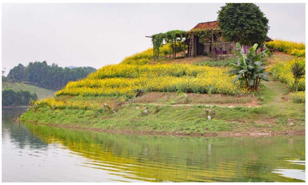Hồ Núi Cốc, địa điểm du lịch nổi tiếng của Thái Nguyên