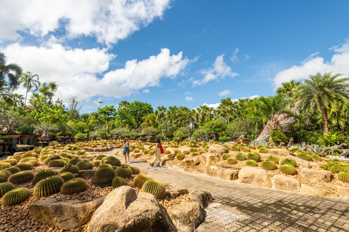 Vườn nhiệt đới Nong Nooch với cảnh quan thiên nhiên xanh mát