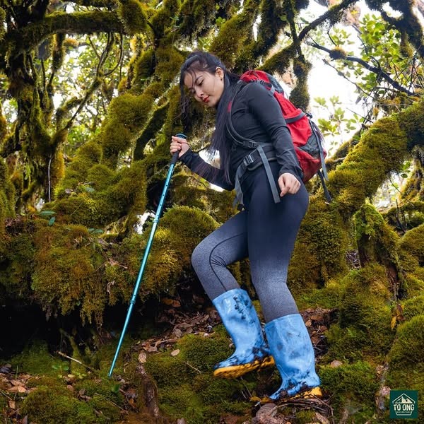 Lưu ý quan trọng khi du lịch Tà Xùa