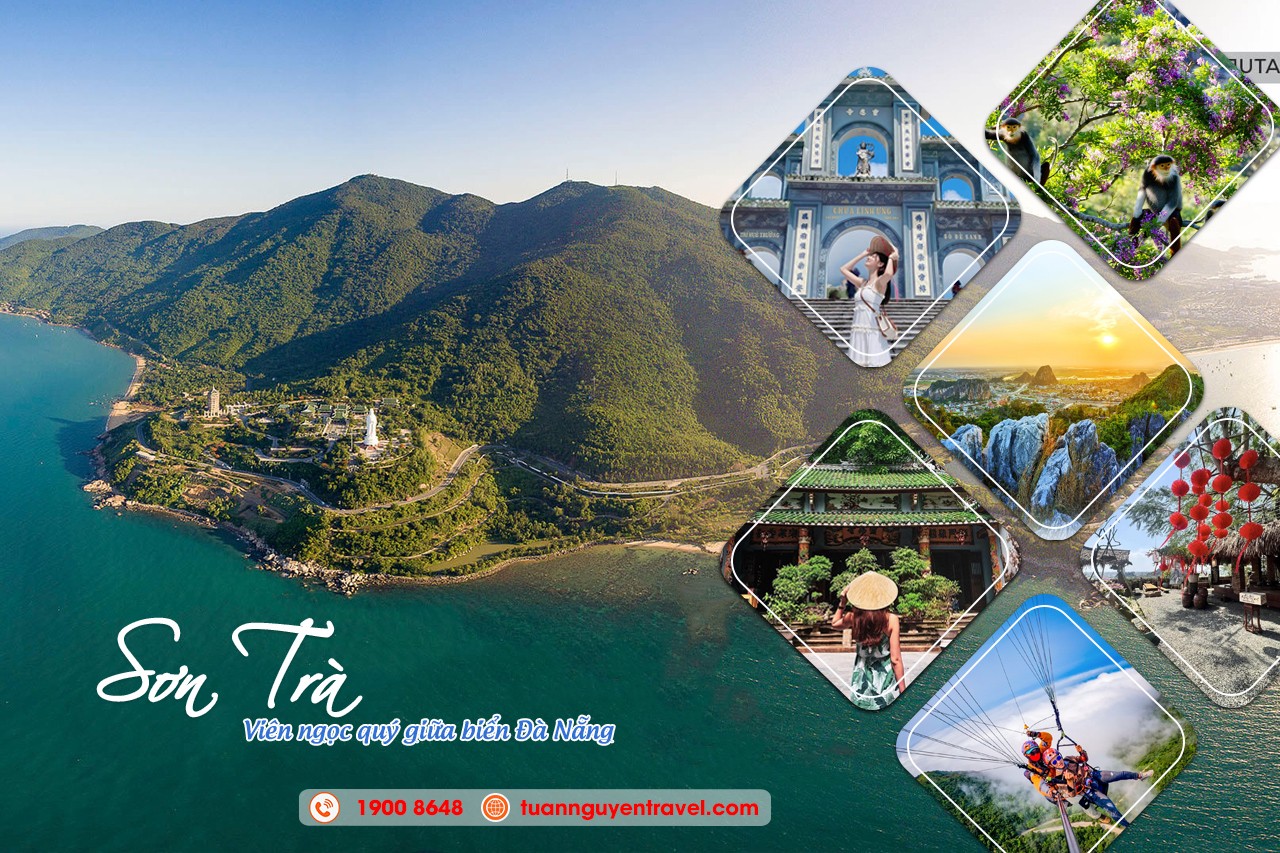 Khám phá Sơn Trà - viên ngọc quý giữa biển Đà Nẵng