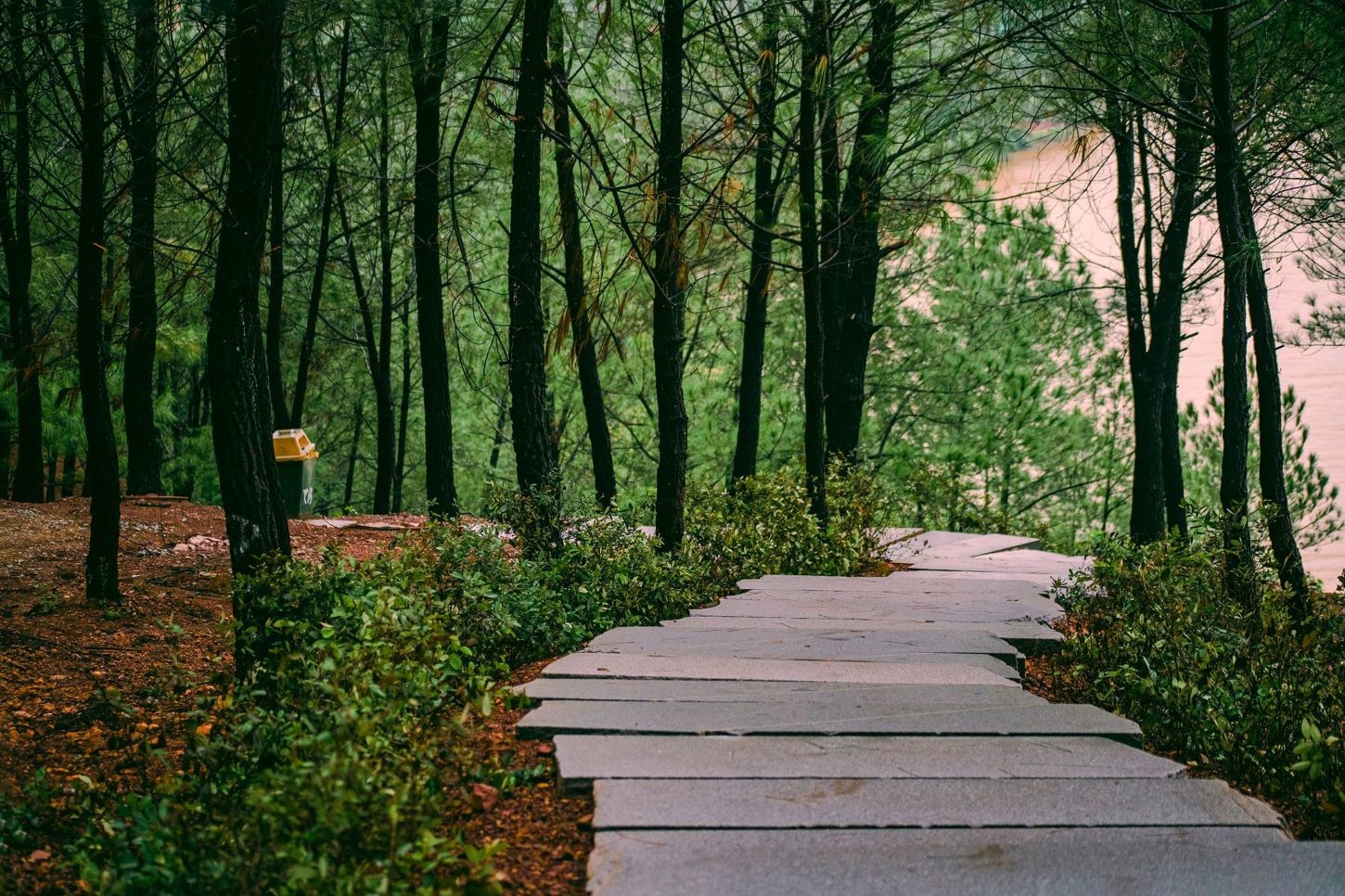 Toàn cảnh vẻ đẹp của Đồi Vọng Cảnh nhìn xuống sông Hương