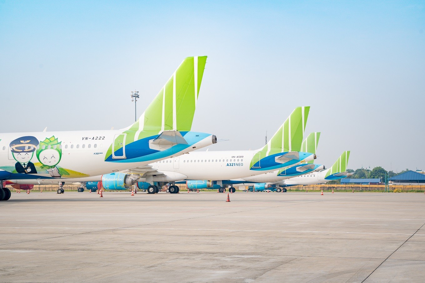 Cảnh quan thiên nhiên tươi đẹp trên đảo Cô Tô