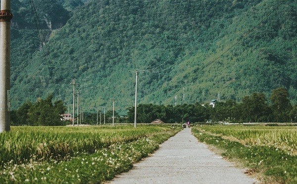 ban lac mai chau 1