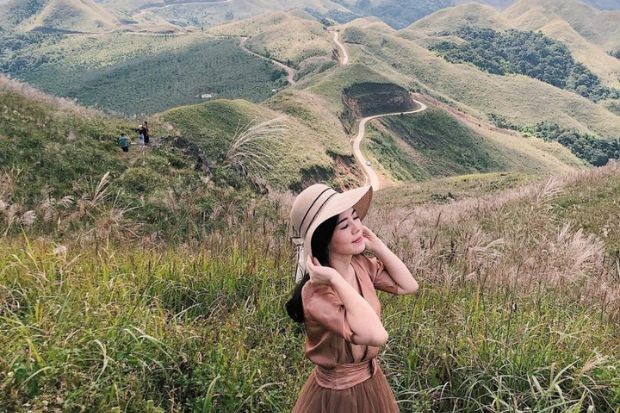 Đồi cỏ lau trải dài tại Bình Liêu.