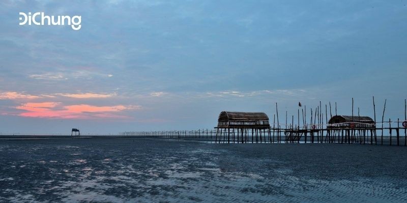 Cánh đồng lúa xanh mướt tại Thái Bình