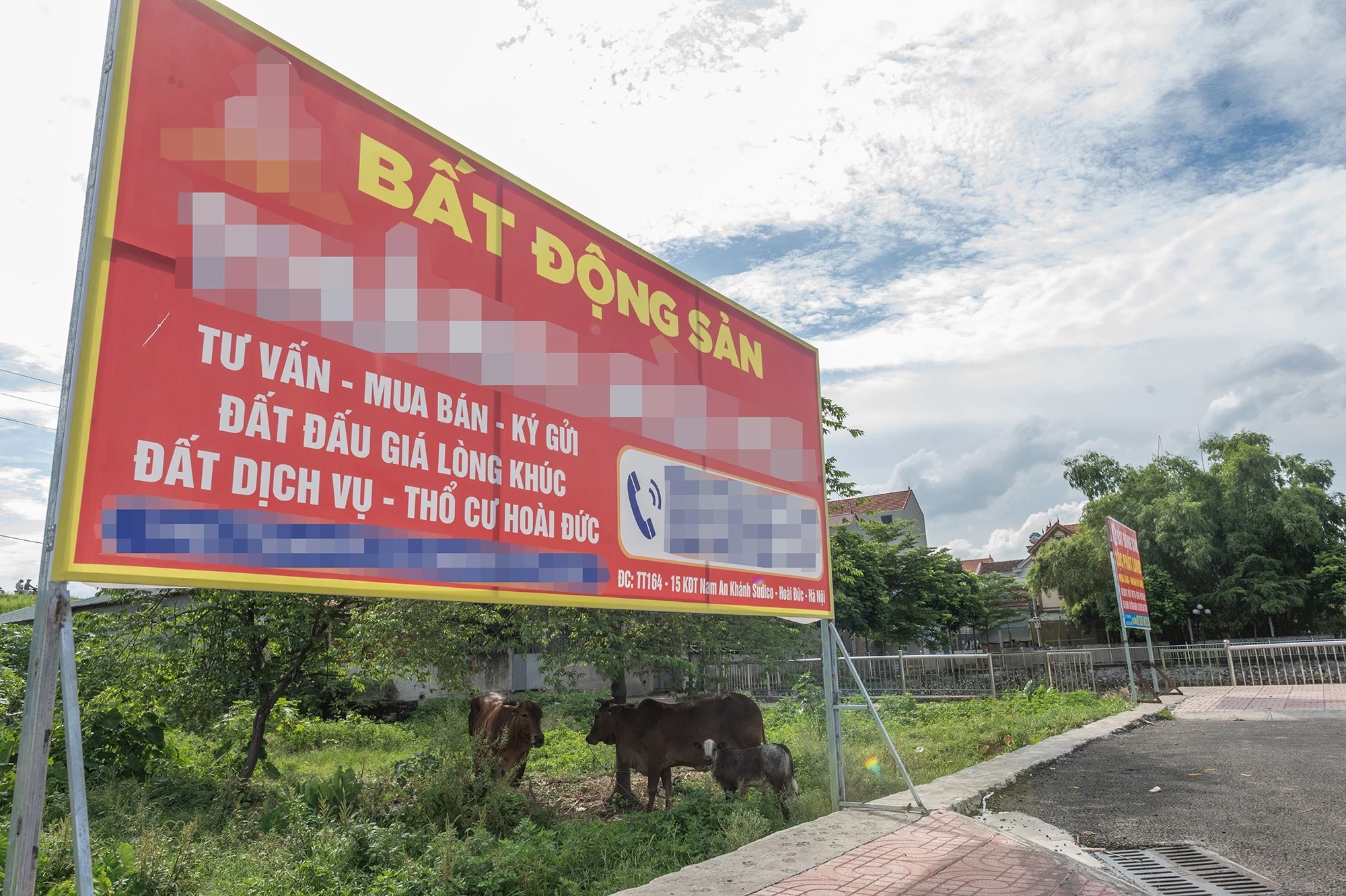 Mặt bằng giá đất khu vực xung quanh khu đất đấu giá