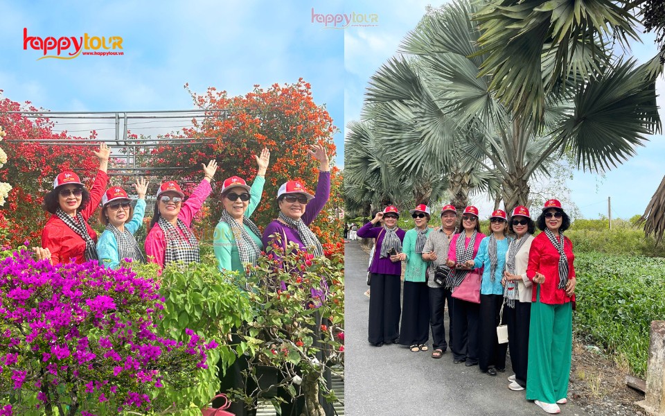 Những luống hoa cúc rực rỡ tại Làng hoa Sa Đéc