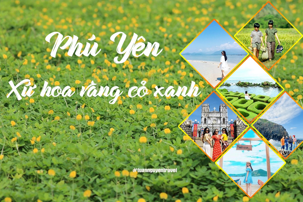 tour phu yen 1