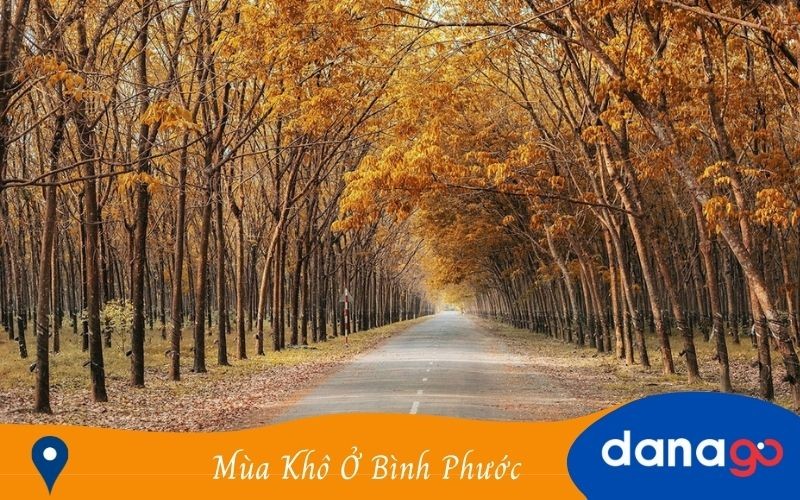 Cảnh quan Bình Phước vào mùa khô