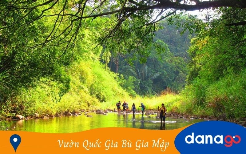 Thiên nhiên hùng vĩ tại Vườn Quốc gia Bù Gia Mập
