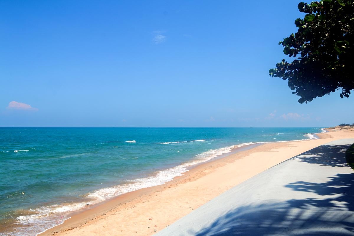 Cảnh biển Hồ Tràm với làn nước trong xanh và rừng dương xanh mướt