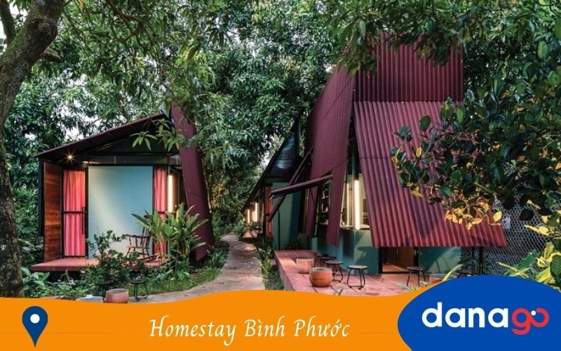 Homestay Mai Phùng