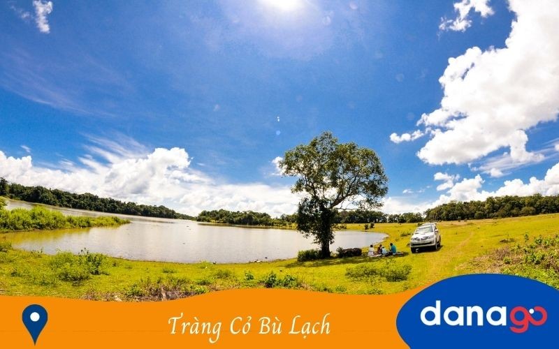 Vẻ đẹp xanh mướt của Tràng Cỏ Bù Lạch