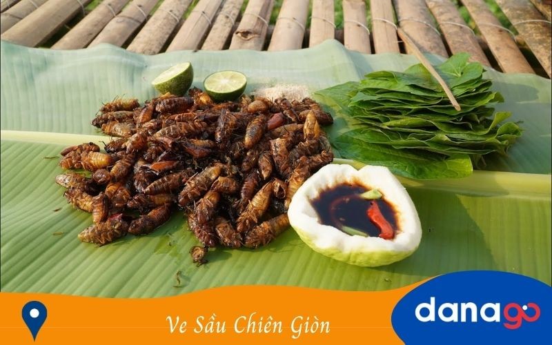 Đặc sản Ve Sầu Chiên Giòn