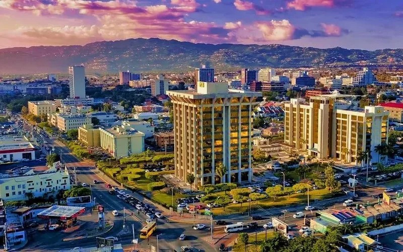 Cảnh quan tuyệt đẹp của một bãi biển ở Jamaica với nước biển xanh biếc và cây cọ