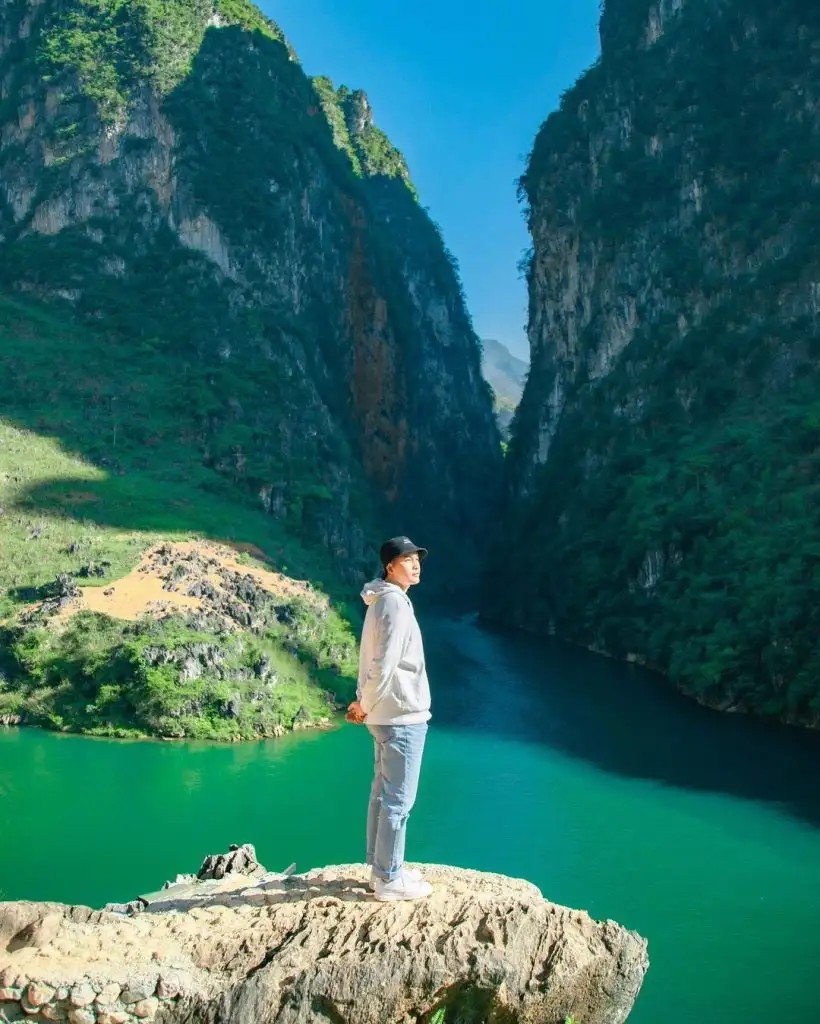 Cánh đồng hoa tam giác mạch nở rộ