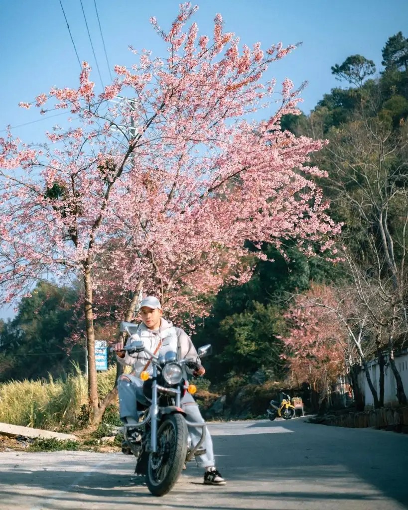 Thuê xe máy khám phá Hà Giang