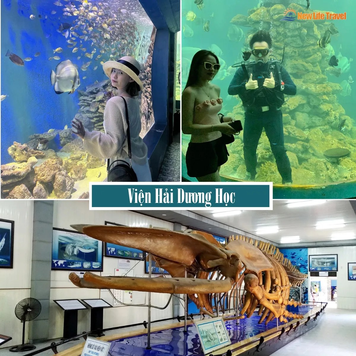 Du khách tham quan Viện Hải Dương Học - City tour Nha Trang