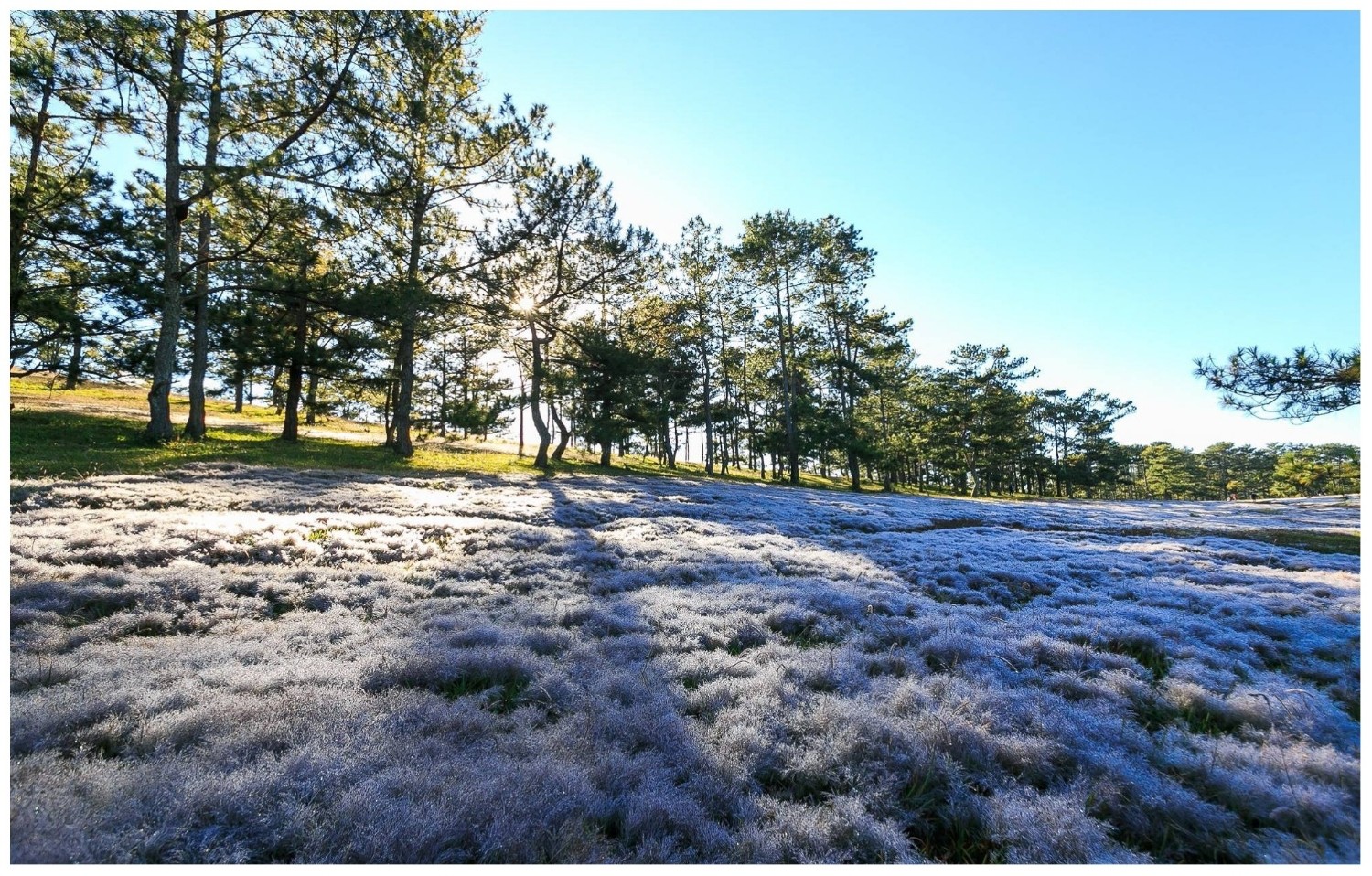 Toàn cảnh tỉnh Lâm Đồng với núi đồi xanh mướt