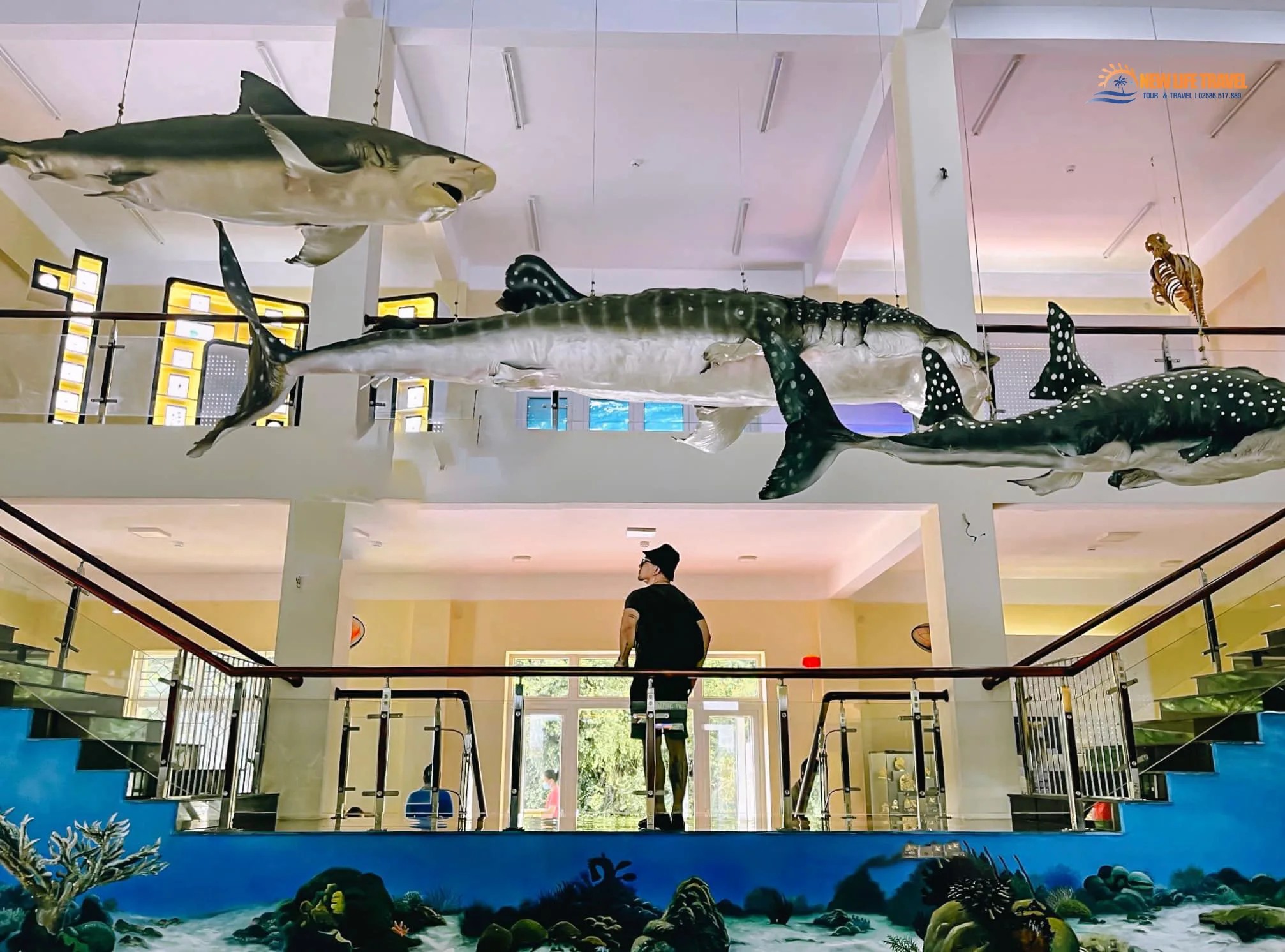 Du khách tham quan Viện Hải Dương Học Nha Trang