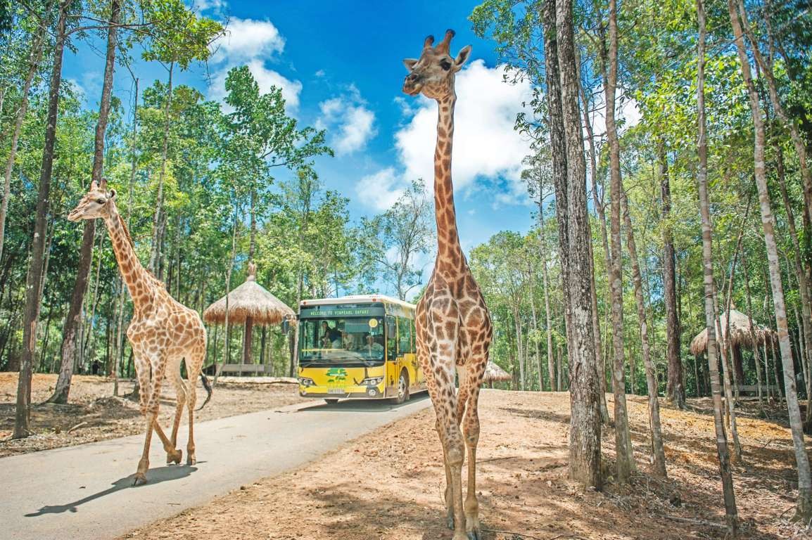 Du ngoạn tại Vinpearl Safari Phú Quốc