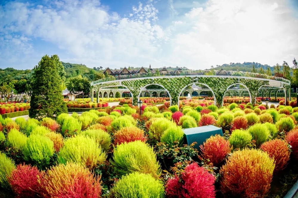 Giải Trí Tại Công Viên Everland