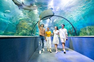 Vinpearl Aquarium chắc chắn sẽ làm cho chuyến đi của bạn đến Hà Nội trở nên đáng nhớ và thú vị