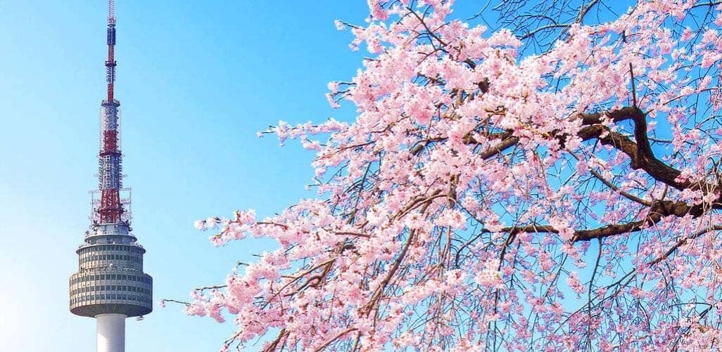 Tháp Namsan nhìn từ xa, biểu tượng của thủ đô Seoul