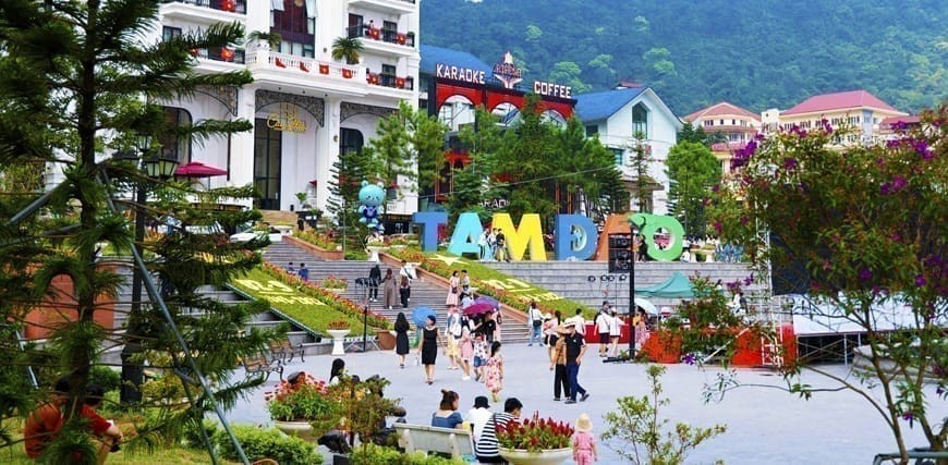 Tour du lịch Tam Đảo Vĩnh Phúc 1 ngày