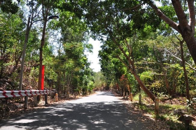 Con đường vào núi Minh Đạm