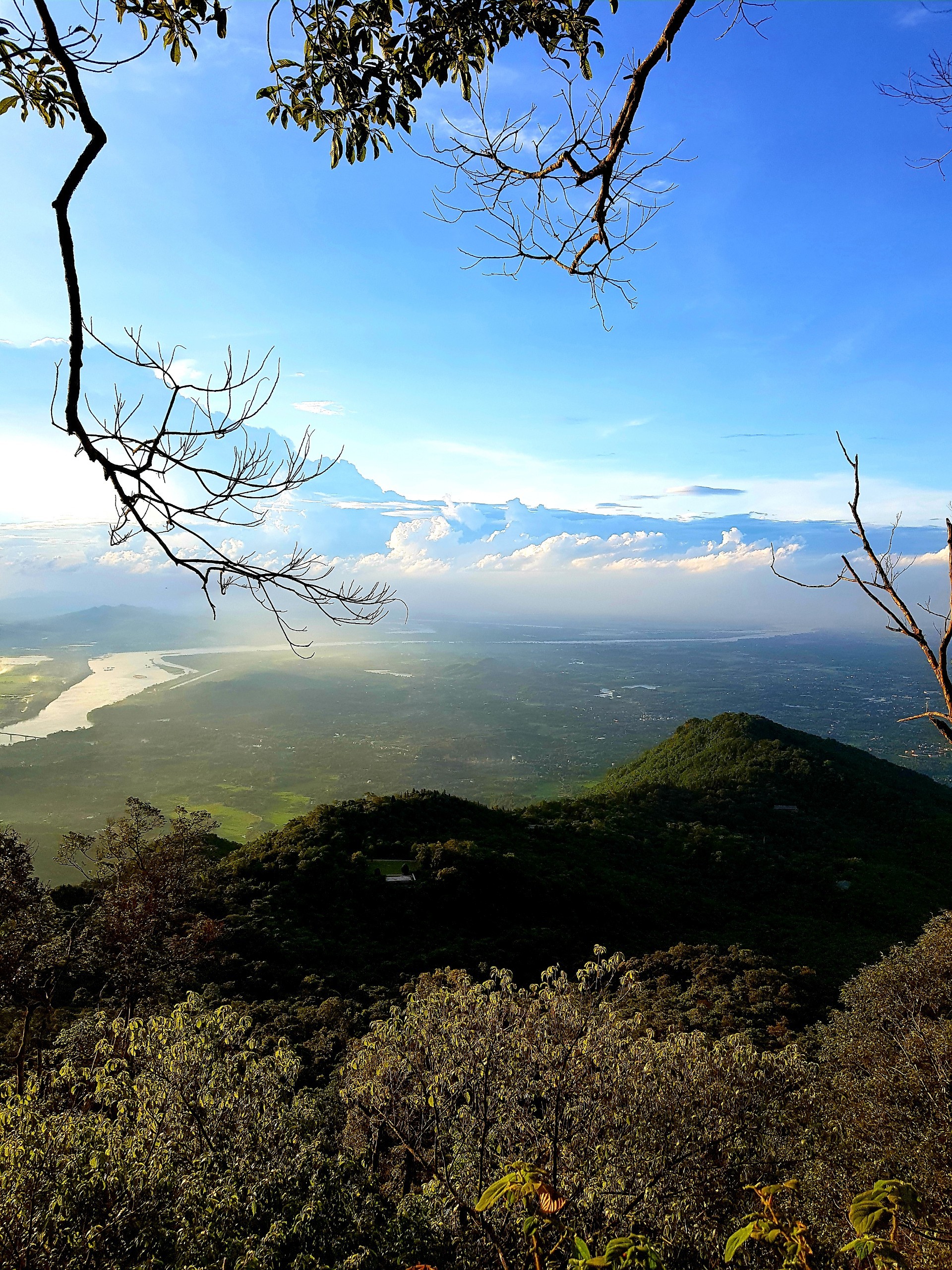 Thảm thực vật phong phú