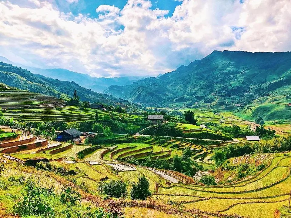 Thung lũng Mường Hoa - Sapa