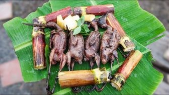 Chim mía nướng - đặc sản Tây Sơn Bình Định